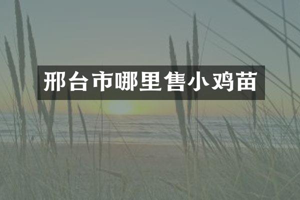 邢台市哪里售小鸡苗