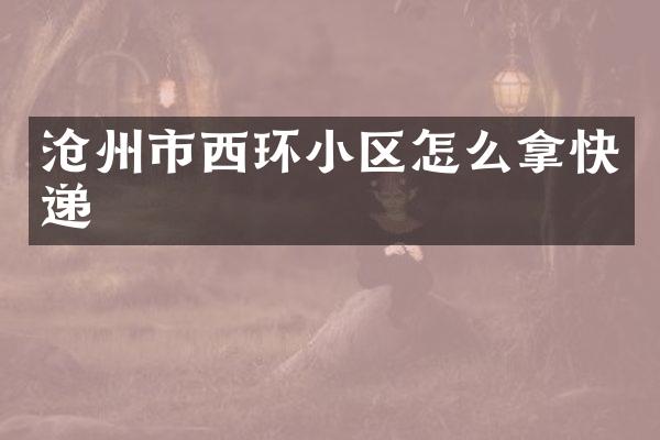 沧州市西环小区怎么拿快递