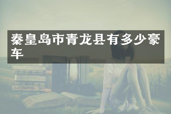 秦皇岛市青龙县有多少豪车