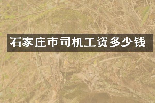 石家庄市司机工资多少钱