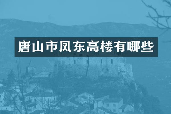 唐山市凤东高楼有哪些