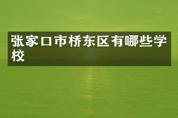 张家口市桥东区有哪些学校