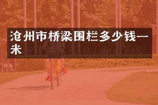 沧州市桥梁围栏多少钱一米