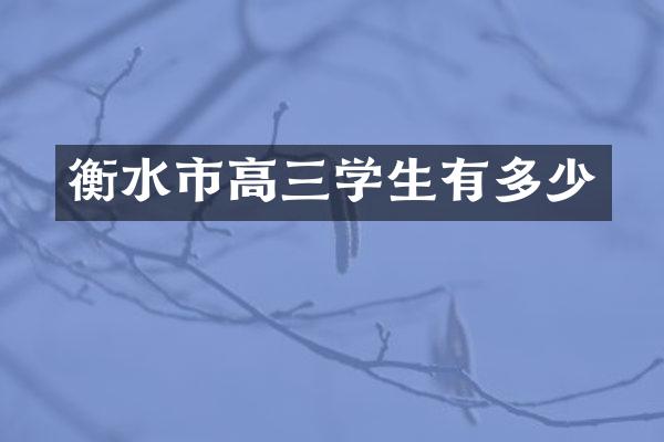 衡水市高三学生有多少