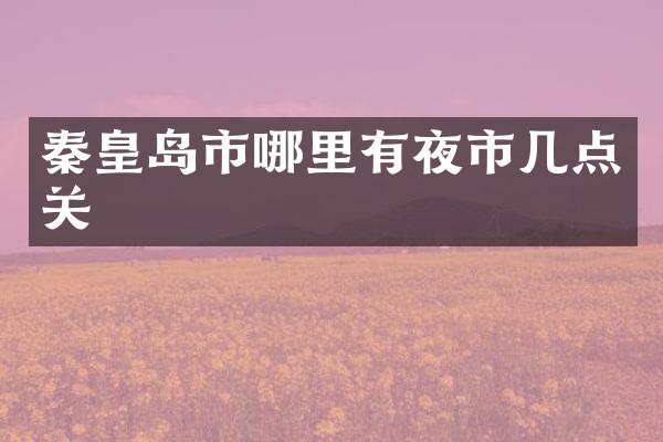 秦皇岛市哪里有夜市几点关