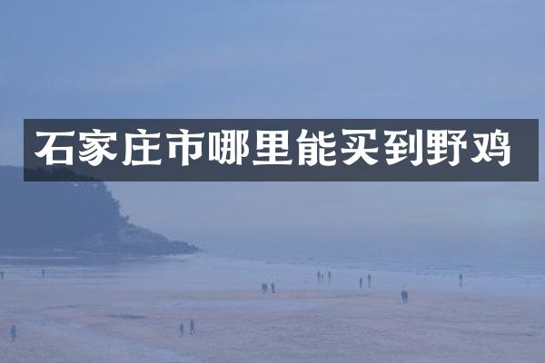 石家庄市野鸡