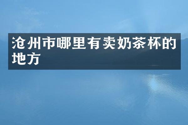 沧州市哪里有卖奶茶杯的地方