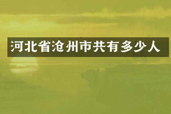 河北省沧州市共有多少人