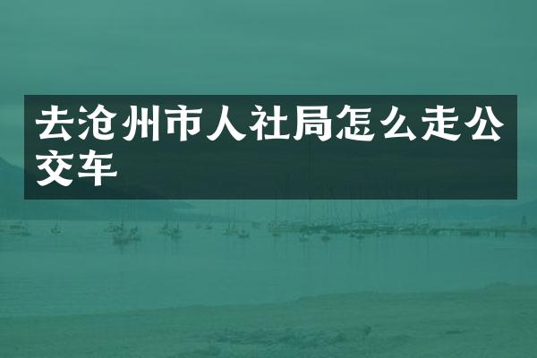 去沧州市人社局怎么走公交车