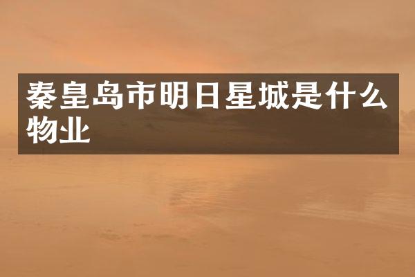 秦皇岛市明日星城是什么物业