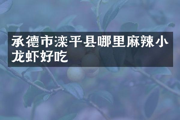 承德市滦平县哪里麻辣小龙虾好吃
