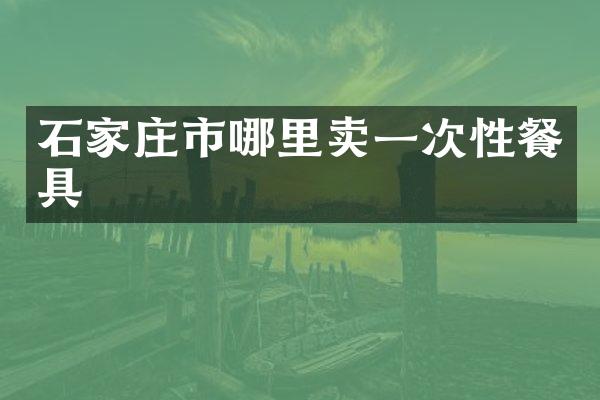 石家庄市哪里卖一次性餐具