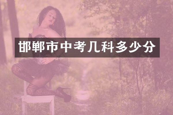 邯郸市中考几科多少分