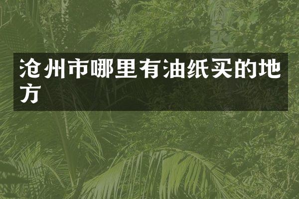沧州市哪里有油纸买的地方