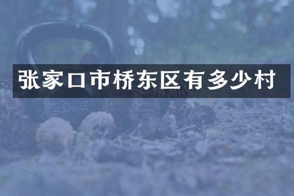 张家口市桥东区有多少村