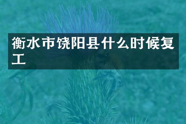衡水市饶阳县什么时候复工