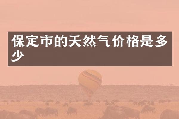 保定市的天然气价格是多少