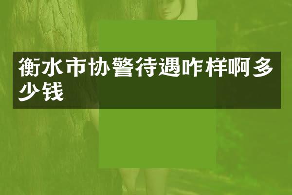 衡水市协警待遇咋样啊多少钱