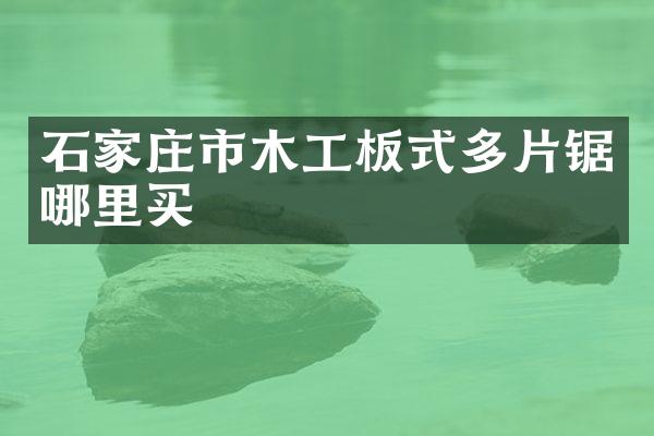 石家庄市木工板式多片锯哪里买