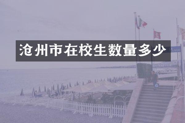 沧州市在校生数量多少