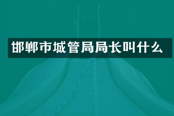 邯郸市城管局局长叫什么