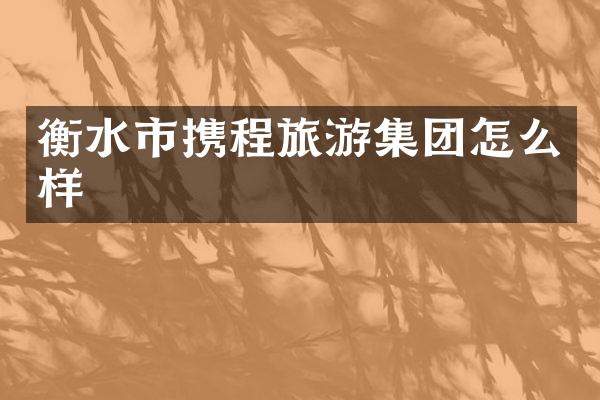 衡水市携程旅游集团怎么样