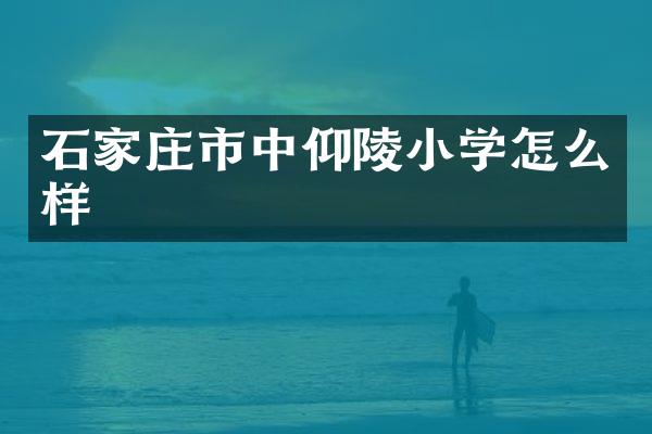 石家庄市中仰陵小学怎么样