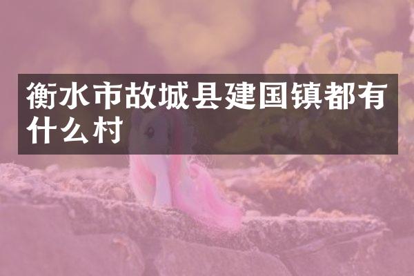 衡水市故城县建国镇都有什么村