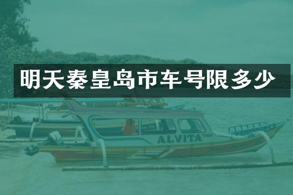 明天秦皇岛市车号限多少