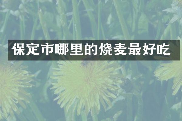 保定市哪里的烧麦最好吃