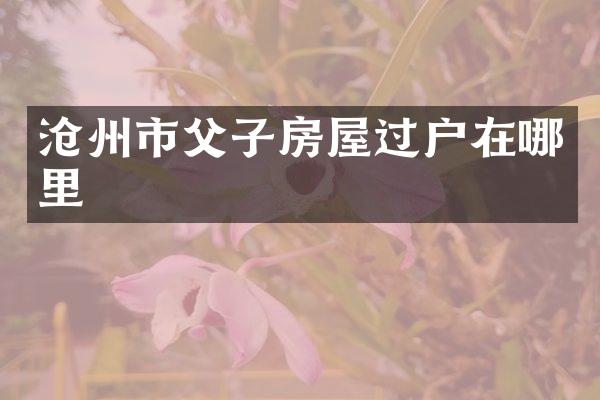 沧州市父子房屋过户在哪里