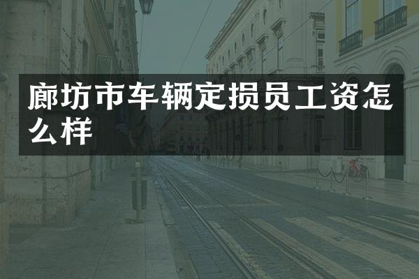 廊坊市车辆定损员工资怎么样