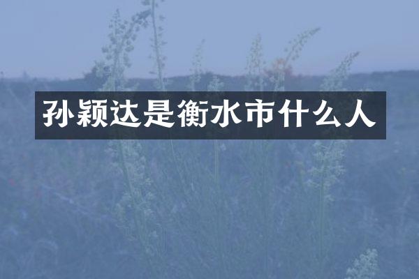 孙颖达是衡水市什么人
