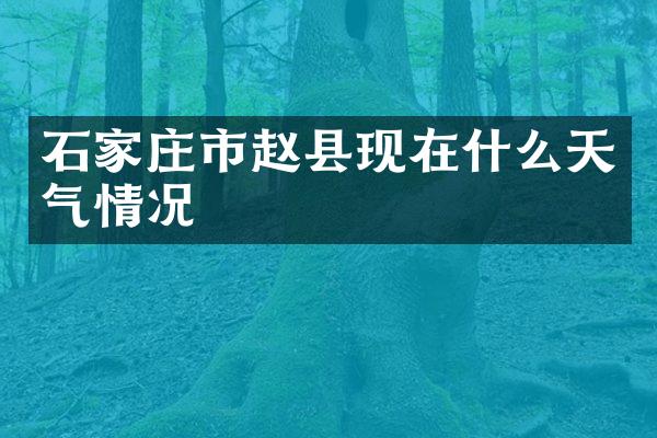 石家庄市赵县现在什么天气情况