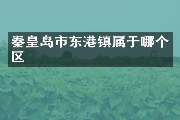秦皇岛市东港镇属于哪个区