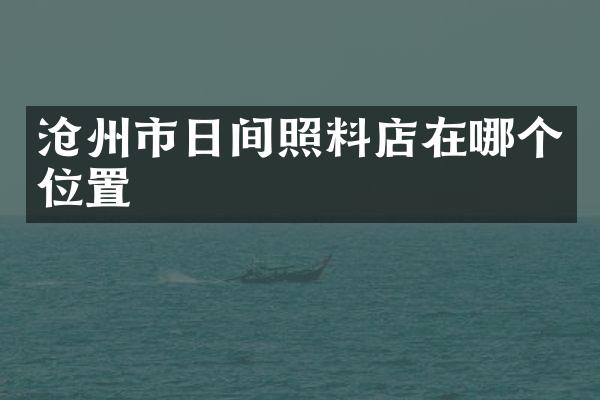 沧州市日间照料店在哪个位置