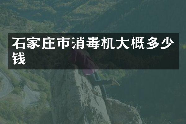石家庄市消毒机大概多少钱