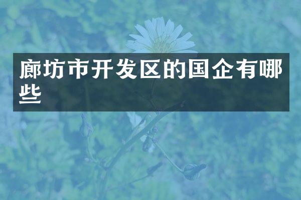 廊坊市开发区的国企有哪些