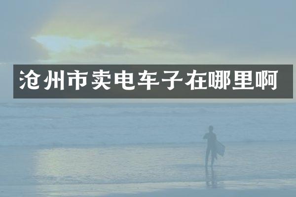 沧州市卖电车子在哪里啊