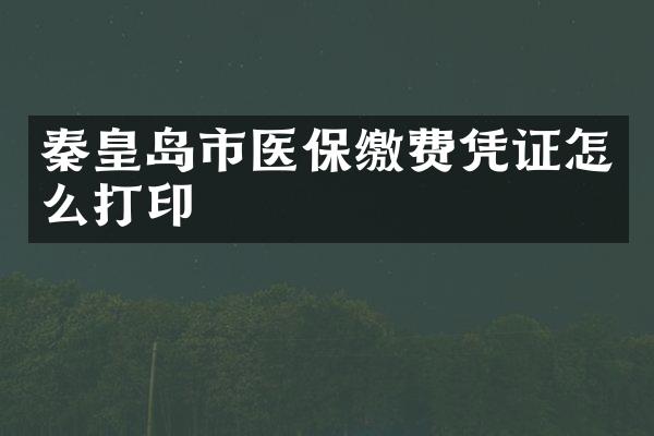 秦皇岛市医保缴费凭证怎么打印