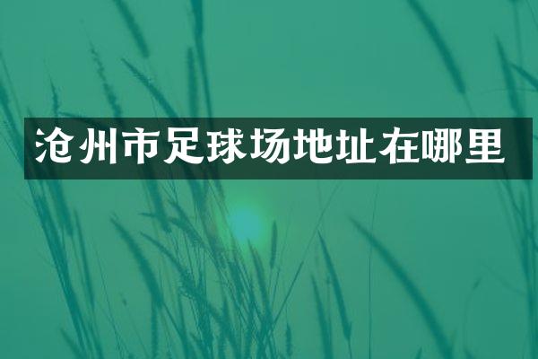 沧州市足球场地址在哪里