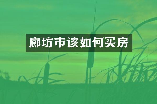 廊坊市该如何买房