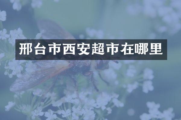 邢台市西安超市在哪里