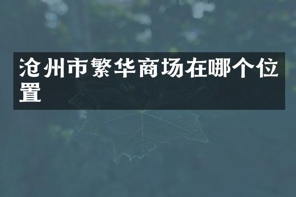 沧州市繁华商场在哪个位置