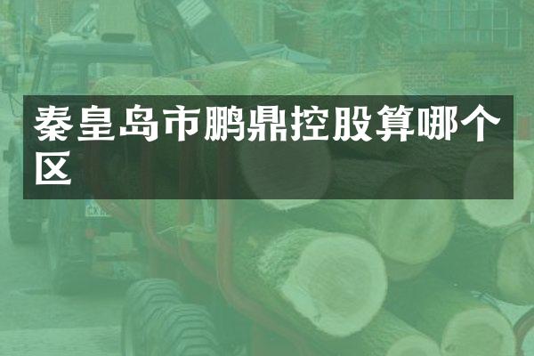 秦皇岛市鹏鼎控股算哪个区