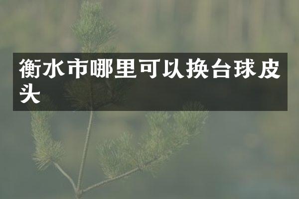 衡水市哪里可以换台球皮头