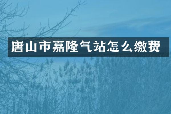唐山市嘉隆气站怎么缴费