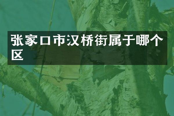 张家口市汉桥街属于哪个区