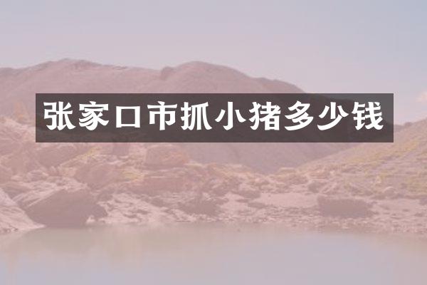 张家口市抓小猪多少钱