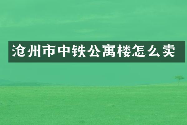 沧州市中铁公寓楼怎么卖